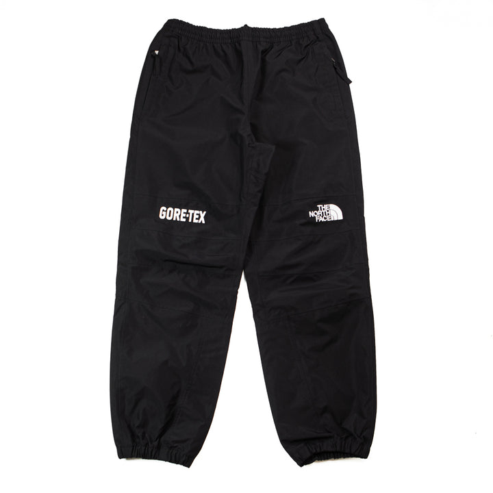 GTX Mountain Pant (TNF Black)
