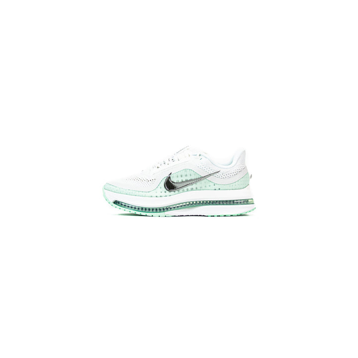 Wmns Pegasus Premium (White/Metallic Silver)