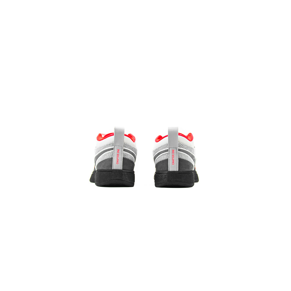 Book 1 95 (Wolf Grey/Cool Grey/Photon Dust)