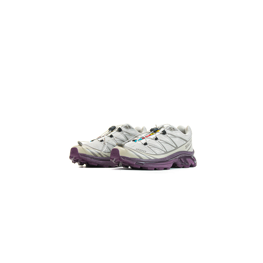 XT-6 (Paloma/Paloma/Winter Bloom) – Corporate