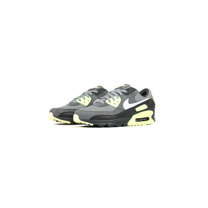 Air Max 90 (Smoke Grey/Photon Dust)