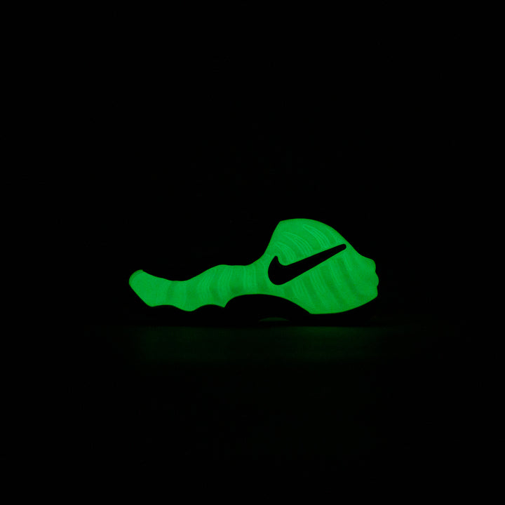 Air Foamposite Pro PRM (Summit White/Black)