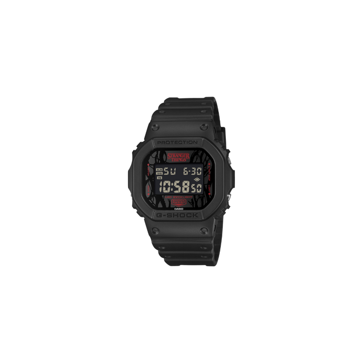 DW5600STT-1
