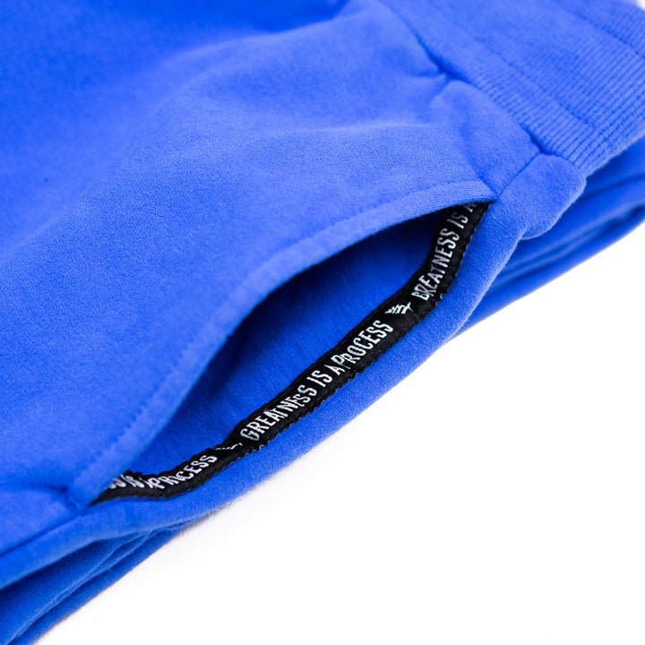 Garment Dyed Fleece Jogger (Galaxy Blue)