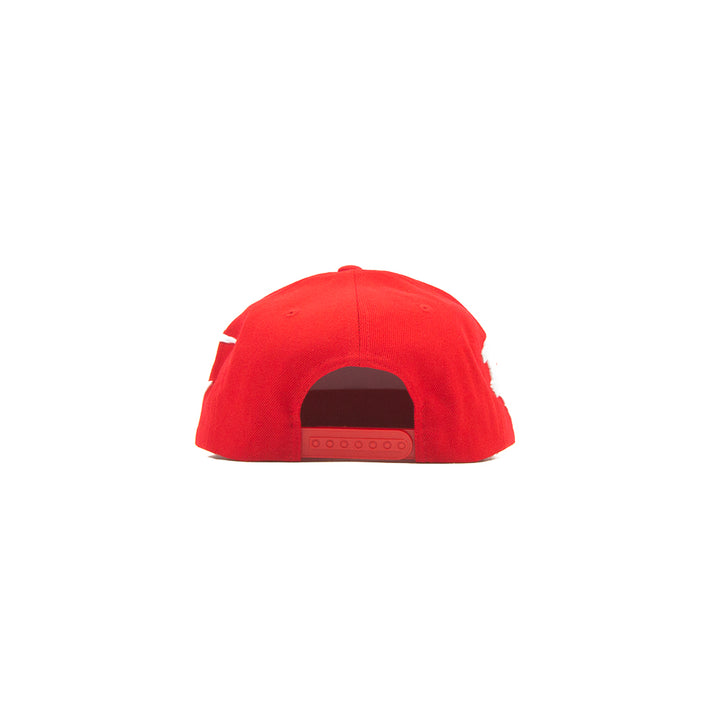 Snake Scales Snapback (Red)