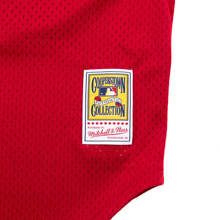 Mesh BP Jersey (Reds Rose)