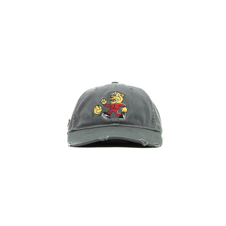 Hometown Heros Dad Cap (Dark Shadow)